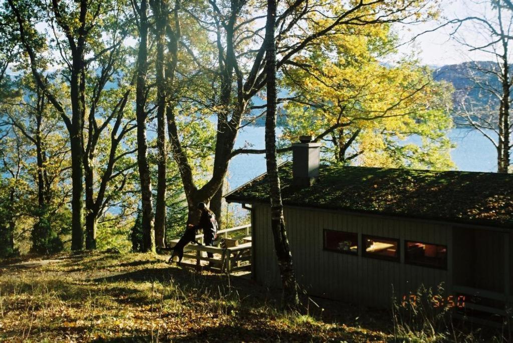 Villa Hardanger Feriesenter Neshagen à Norheimsund Extérieur photo