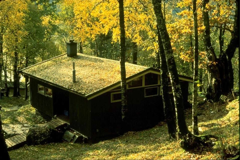 Villa Hardanger Feriesenter Neshagen à Norheimsund Extérieur photo